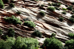 Zion National Park Moab 4